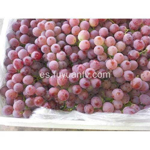 mejores uvas globales rojas xinjiang